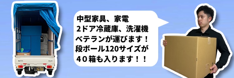 ミニ単身パック